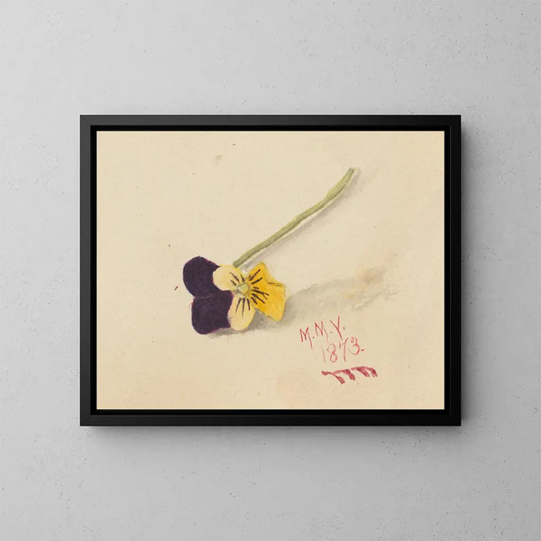 Pensamiento - Mary Vaux Walcott — cuadro enmarcado en la pared
