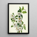 Sauce de las rocas Salix vestita - Mary Vaux Walcott — cuadro enmarcado en la pared
