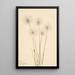 Linaigrette gracile Eriophorum chamissonis - Mary Vaux Walcott — cuadro enmarcado en la pared