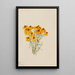 Zinnia Zinnia grandiflora - Mary Vaux Walcott — framed artwork on a wall