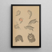 Choju ryakugashiki Pl05 - Masayoshi Kitao — framed artwork on a wall