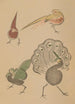 Choju ryakugashiki Pl14 - Masayoshi Kitao — artwork view