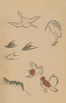 Choju ryakugashiki Pl23 - Masayoshi Kitao — artwork view