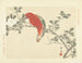 Camellia sasanqua and parrot lori bavard - Matsumura Keibun — artwork view