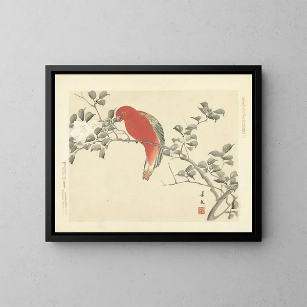Camélia sasanqua y loro parlante - Matsumura Keibun — cuadro enmarcado en la pared