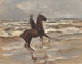 Caballero junto al mar a la derecha - Max Liebermann — vista de la obra