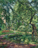 Jardín en Godramstein con un árbol invadido por la vegetación y un estanque - Max Slevogt — vista de la obra