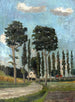 Allée dans la région de Dachau - Max Zettler — vista de la obra
