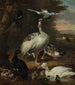 Aves - Melchior d'Hondecoeter — vista de la obra