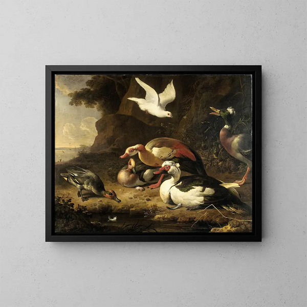 Canards - Melchior d'Hondecoeter — framed artwork on a wall