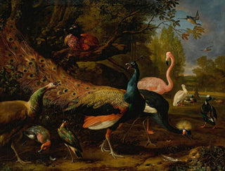 Melchior dHondecoeter - Exotic fowl including a peacock and peahen flamingo African crane pheasant and lapwing shoveller pelican and tufted duck.webp