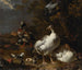 Gansos y patos - Melchior d'Hondecoeter — vista de la obra