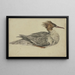 Canard couché avec huppe brune, bec rouge et plumes - Melchior d'Hondecoeter — framed artwork on a wall