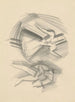 Croquis con diferentes cruces religiosas III - Mikuláš Galanda — vista de la obra