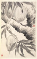 Pêches - Min Zhen — vista de la obra