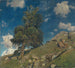 Monte Rosa y abedules - Eugen Bracht — vista de la obra