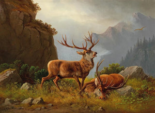 Moritz Mller - After the Fight.webp
