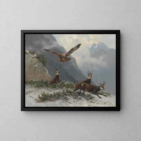 Chamois en las altas montañas - Moritz Müller — cuadro enmarcado en la pared