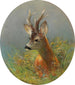 Stag standing in tall grasses - Moritz Müller — artwork view