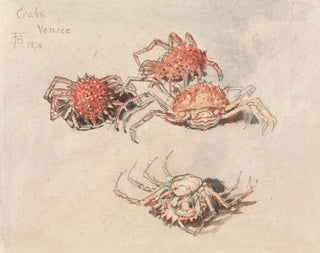 Myles Birket Foster - Studies of Spider Crabs Venice.webp