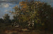 Paisaje campesino en el bosque de otoño - Narcisse Virgile Diaz de la Peña — vista de la obra