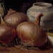 Naturaleza muerta con cebollas - Eugène Jansson — vista de la obra
