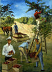 Estudio mural de los recolectores de manzanas - Nicolai Cikovsky — vista de la obra
