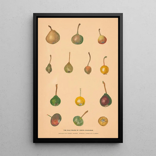 Nikolai Ivanovich Vavilov - The Wild Pears of North Caucasus.webp