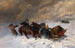 In the Snowstorm - Nikolai Yegorovich Sverchkov — artwork view