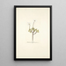 Anemone fragifera - Nikolaus Joseph Freiherr von Jacquin — cuadro enmarcado en la pared
