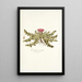 Carduus acaulis - Nikolaus Joseph Freiherr von Jacquin — cuadro enmarcado en la pared