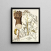 Crambe tartaria - Nikolaus Joseph Freiherr von Jacquin — framed artwork on a wall