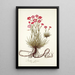 Dianthus sylvestris - Nikolaus Joseph Freiherr von Jacquin — cuadro enmarcado en la pared