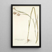 Gladiolus angustus - Nikolaus Joseph Freiherr von Jacquin — cuadro enmarcado en la pared