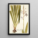 Gladiolus iridifolius - Nikolaus Joseph Freiherr von Jacquin — cuadro enmarcado en la pared