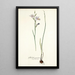 Gladiolus punctatus - Nikolaus Joseph Freiherr von Jacquin — cuadro enmarcado en la pared