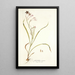 Gladiolus roseus - Nikolaus Joseph Freiherr von Jacquin — cuadro enmarcado en la pared