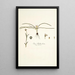 Ixia bulbocodium - Nikolaus Joseph Freiherr von Jacquin — cuadro enmarcado en la pared