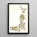 Mesembryanthemum cordifolium - Nikolaus Joseph Freiherr von Jacquin — cuadro enmarcado en la pared
