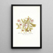 Mesembryanthemum cuneifolium - Nikolaus Joseph Freiherr von Jacquin — cuadro enmarcado en la pared
