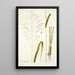 Panicum maximum - Nikolaus Joseph Freiherr von Jacquin — cuadro enmarcado en la pared