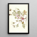 Pelargonium coriandrifolium - Nikolaus Joseph Freiherr von Jacquin — cuadro enmarcado en la pared