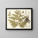 Polypodium multifidum - Nikolaus Joseph Freiherr von Jacquin | Cuadro — cuadro enmarcado en la pared
