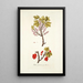Ribes petraeum - Nikolaus Joseph Freiherr von Jacquin — framed artwork on a wall