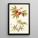 Sambucus racemosa - Nikolaus Joseph Freiherr von Jacquin — cuadro enmarcado en la pared