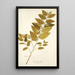 Sida carpinifolia - Nikolaus Joseph Freiherr von Jacquin — cuadro enmarcado en la pared