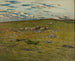 ovejas pastando - Nils Kreuger — vista de la obra