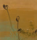 Nuevas helechos - Shibata Zeshin — vista de la obra