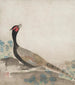 Faisán - Ogata Kōrin — vista de la obra