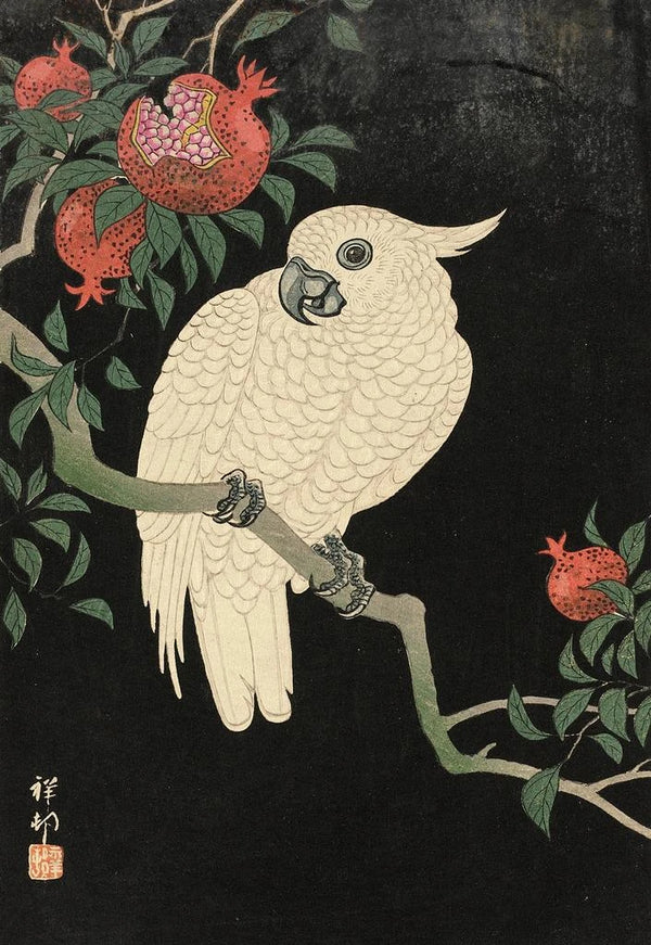 Cacatoès y granada - Ohara Koson — cuadro enmarcado en la pared